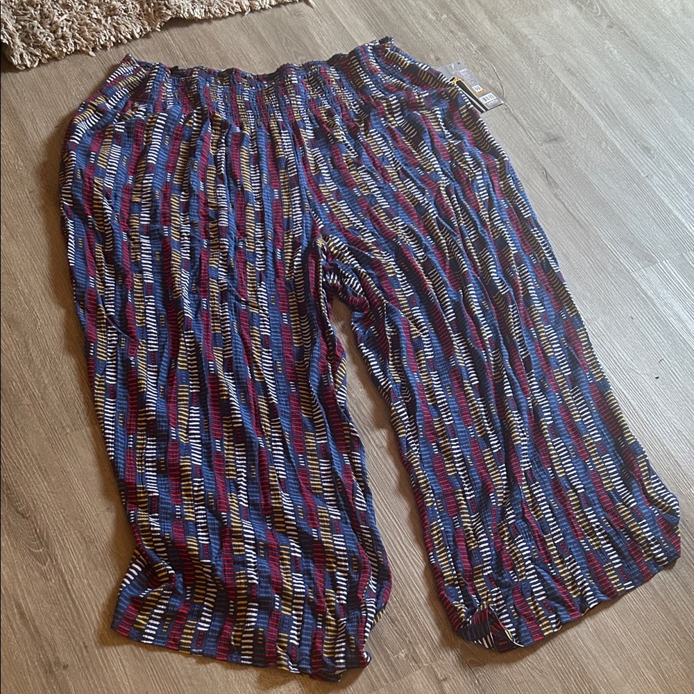 Multicolor Striped Women's Pants